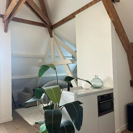 Beautiful Luxury Close To The And Centre דירה האג